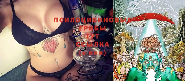 MESCALINE Няндома