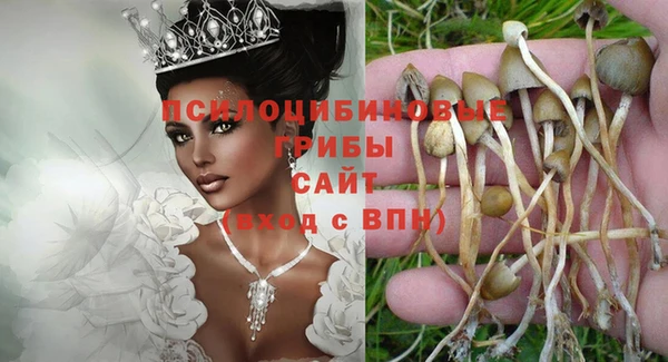 амфетамин Новодвинск