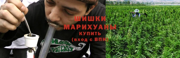 индика Новокубанск
