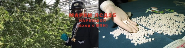 амфетамин Новодвинск