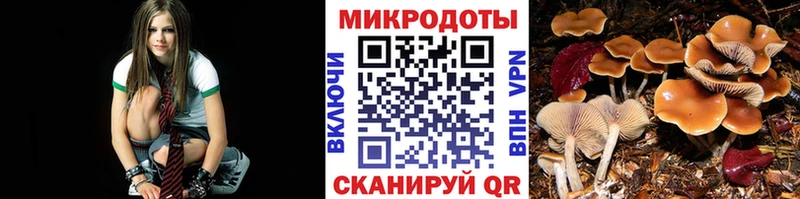 Псилоцибиновые грибы прущие грибы  где купить наркотик  Энем 